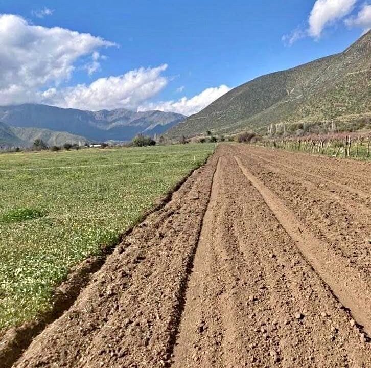 Terreno putaendo 5000m2 1-1
